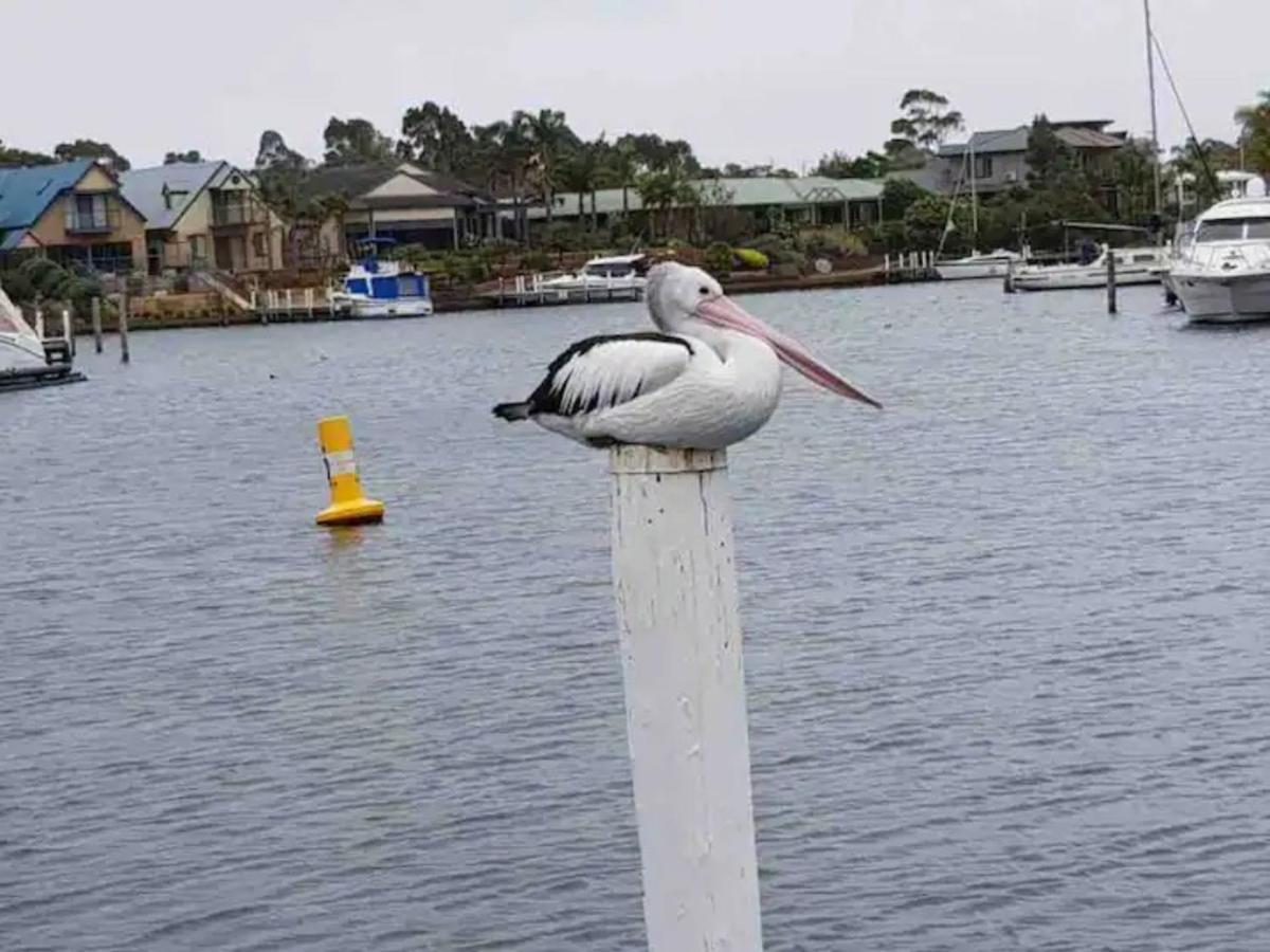 The View - Captains Cove Waterfront Resort Paynesville Exteriör bild