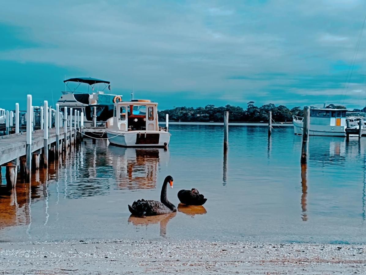 The View - Captains Cove Waterfront Resort Paynesville Exteriör bild